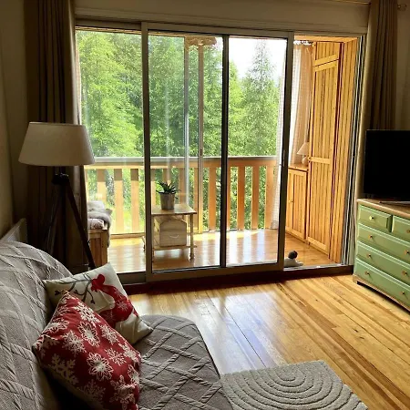 Appartement Grand Studio Avec Veranda La Foux D'allos