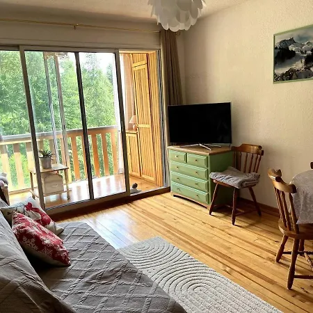 Grand Studio Avec Veranda La Foux D'allos *